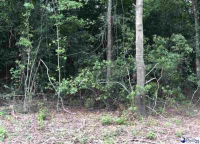 Residential Land For Sale in Florence, South Carolina