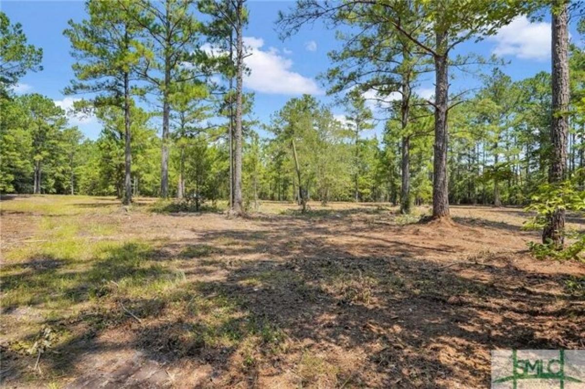 Picture of Residential Land For Sale in Ellabell, Georgia, United States