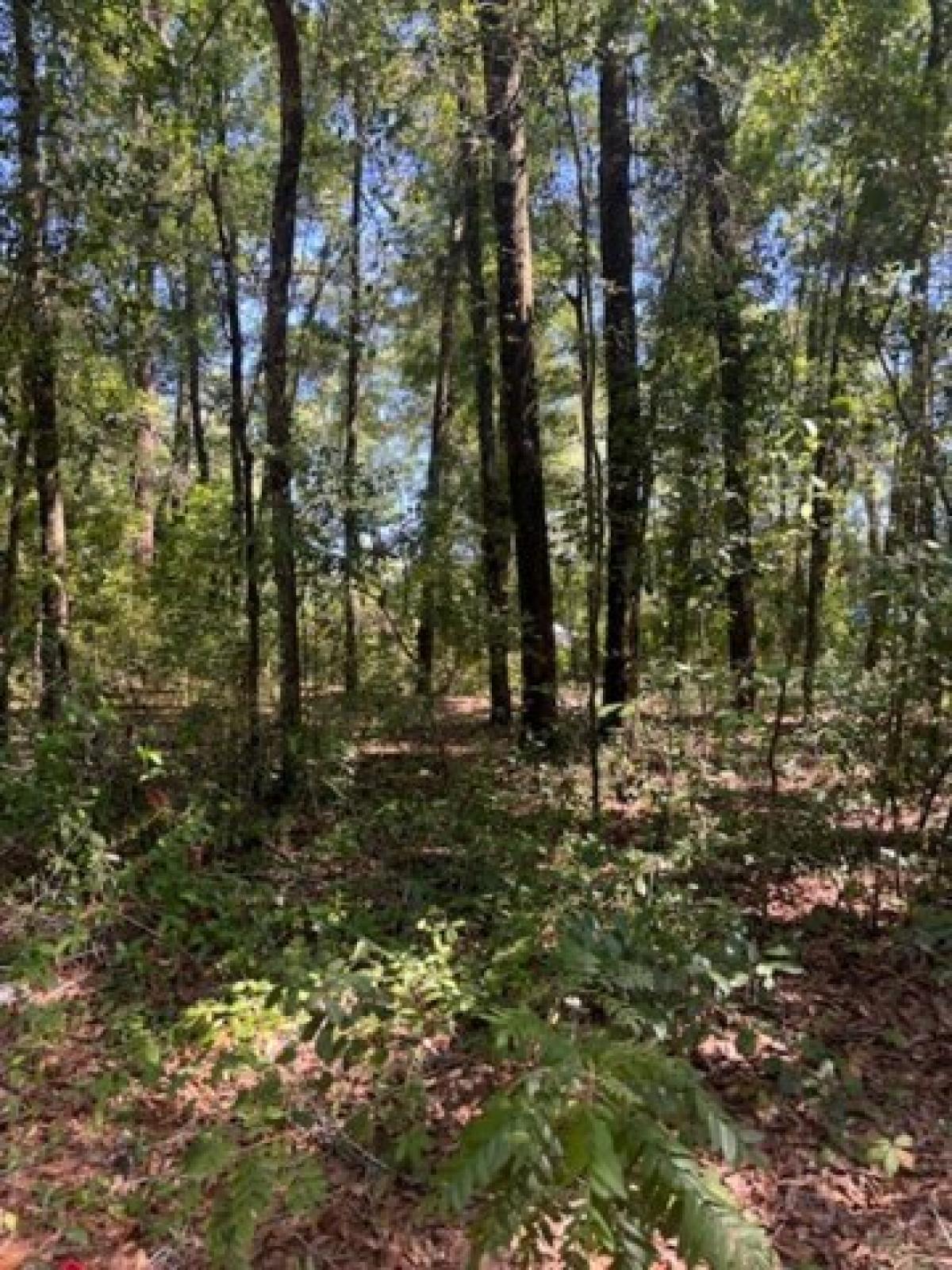 Picture of Residential Land For Rent in Tallahassee, Florida, United States