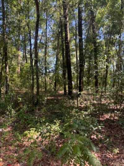 Residential Land For Rent in Tallahassee, Florida