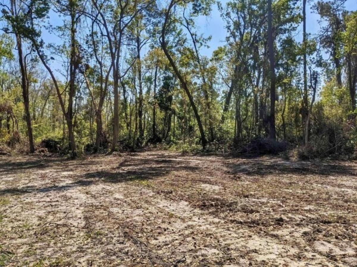 Picture of Residential Land For Sale in Madison, Florida, United States