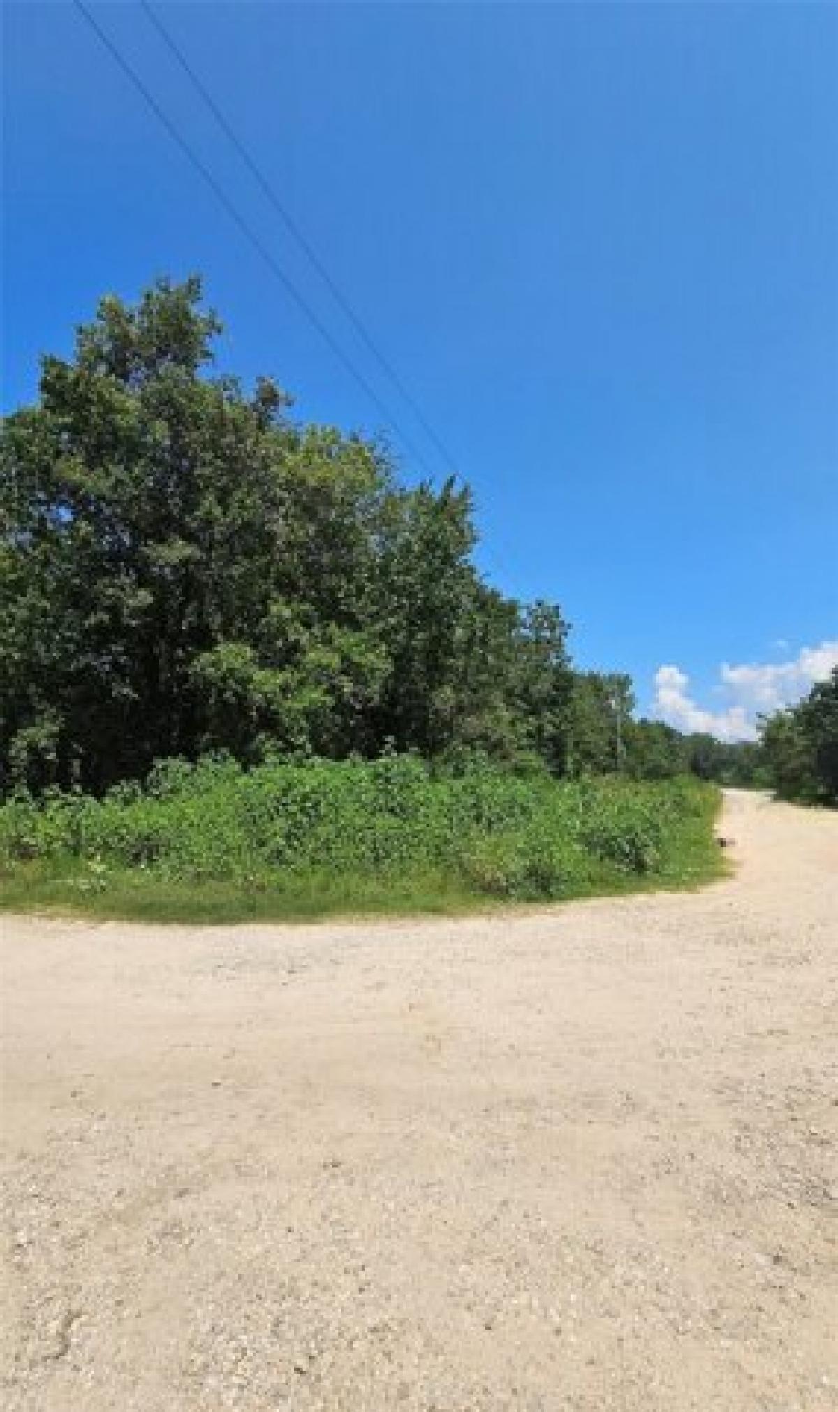 Picture of Residential Land For Rent in Coldspring, Texas, United States
