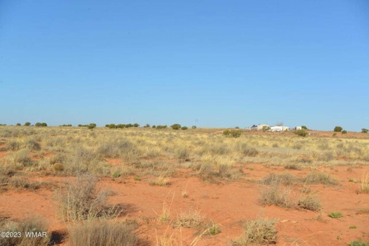Picture of Residential Land For Rent in Snowflake, Arizona, United States