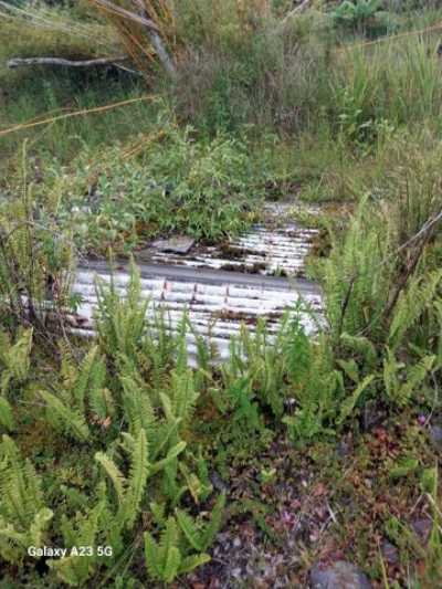 Residential Land For Sale in Mountain View, Hawaii