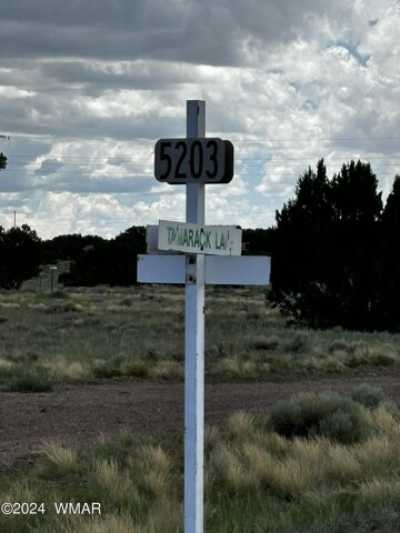 Residential Land For Rent in Concho, Arizona