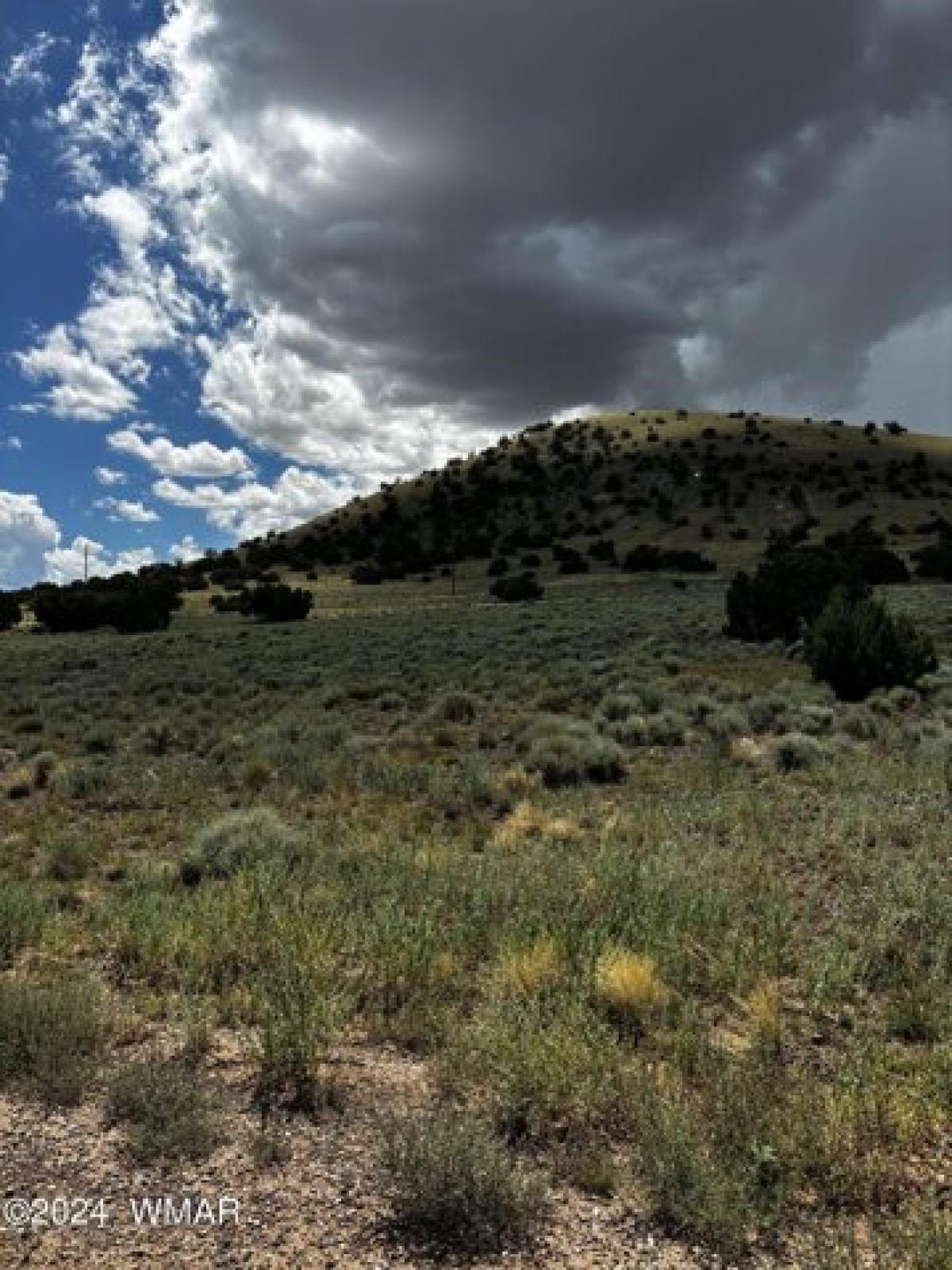 Picture of Residential Land For Rent in Concho, Arizona, United States