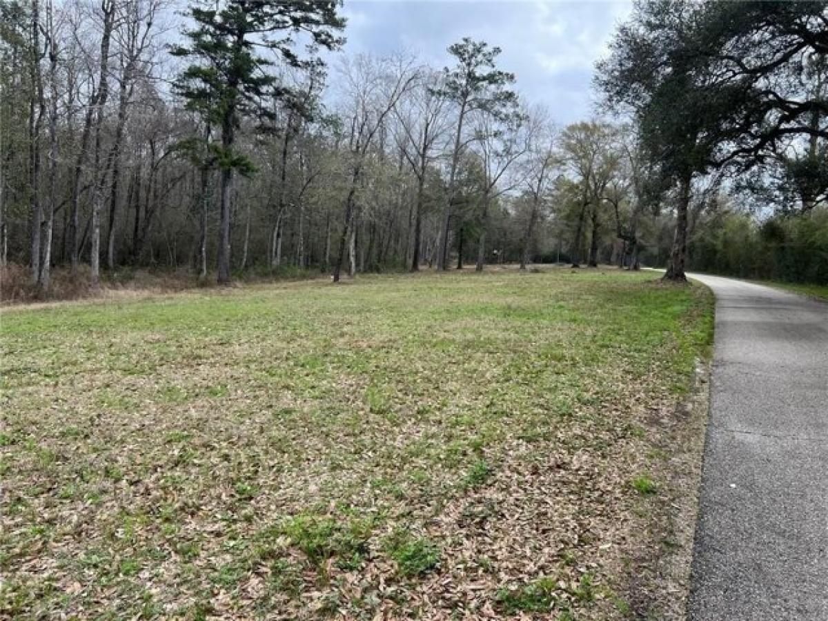 Picture of Residential Land For Sale in Bush, Louisiana, United States