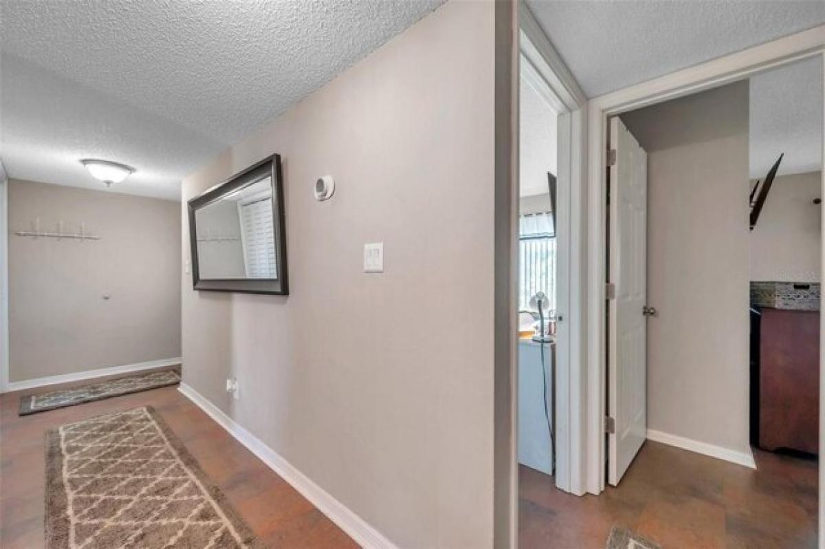 Picture of Home For Rent in Tarpon Springs, Florida, United States