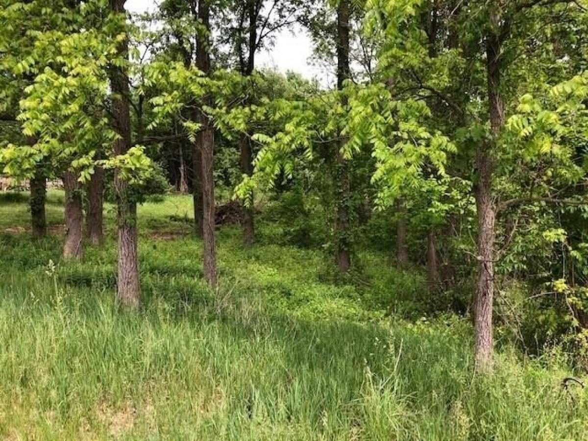 Picture of Residential Land For Sale in Laingsburg, Michigan, United States