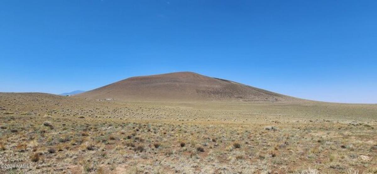 Picture of Residential Land For Sale in Flagstaff, Arizona, United States