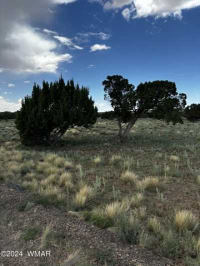 Residential Land For Rent in Concho, Arizona