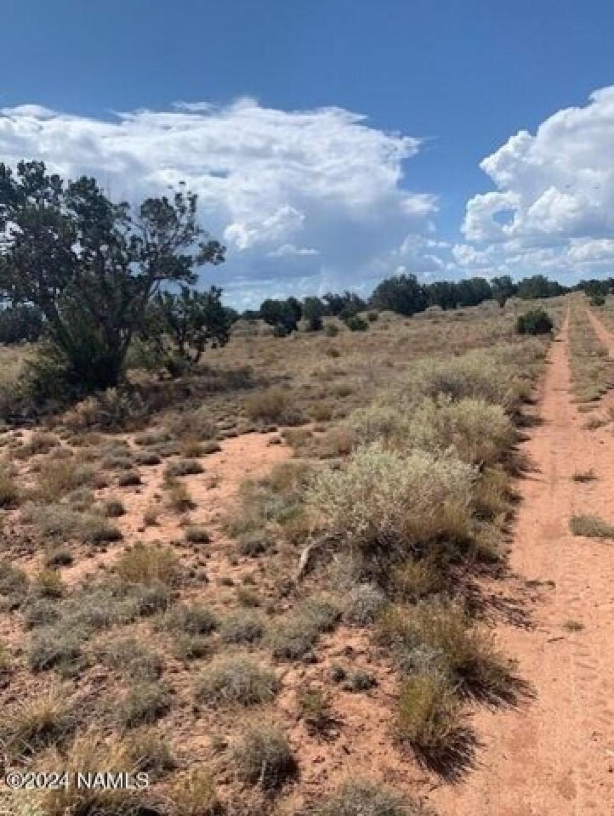 Picture of Residential Land For Rent in Williams, Arizona, United States