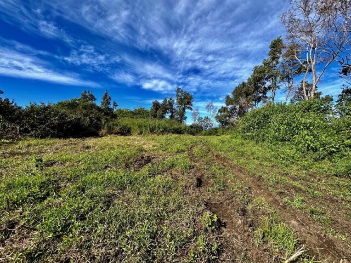 Picture of Residential Land For Sale in Holualoa, Hawaii, United States
