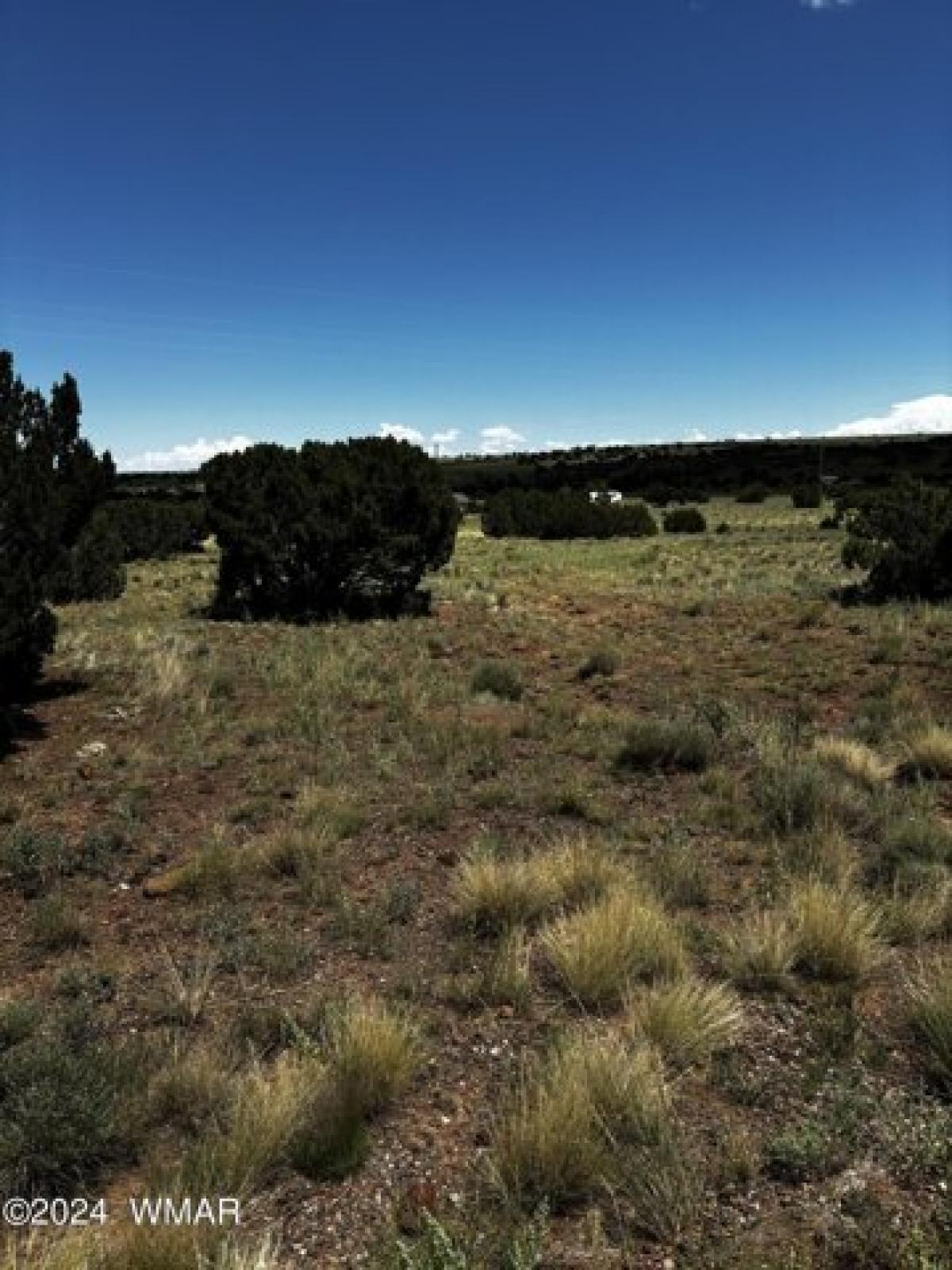 Picture of Residential Land For Rent in Concho, Arizona, United States