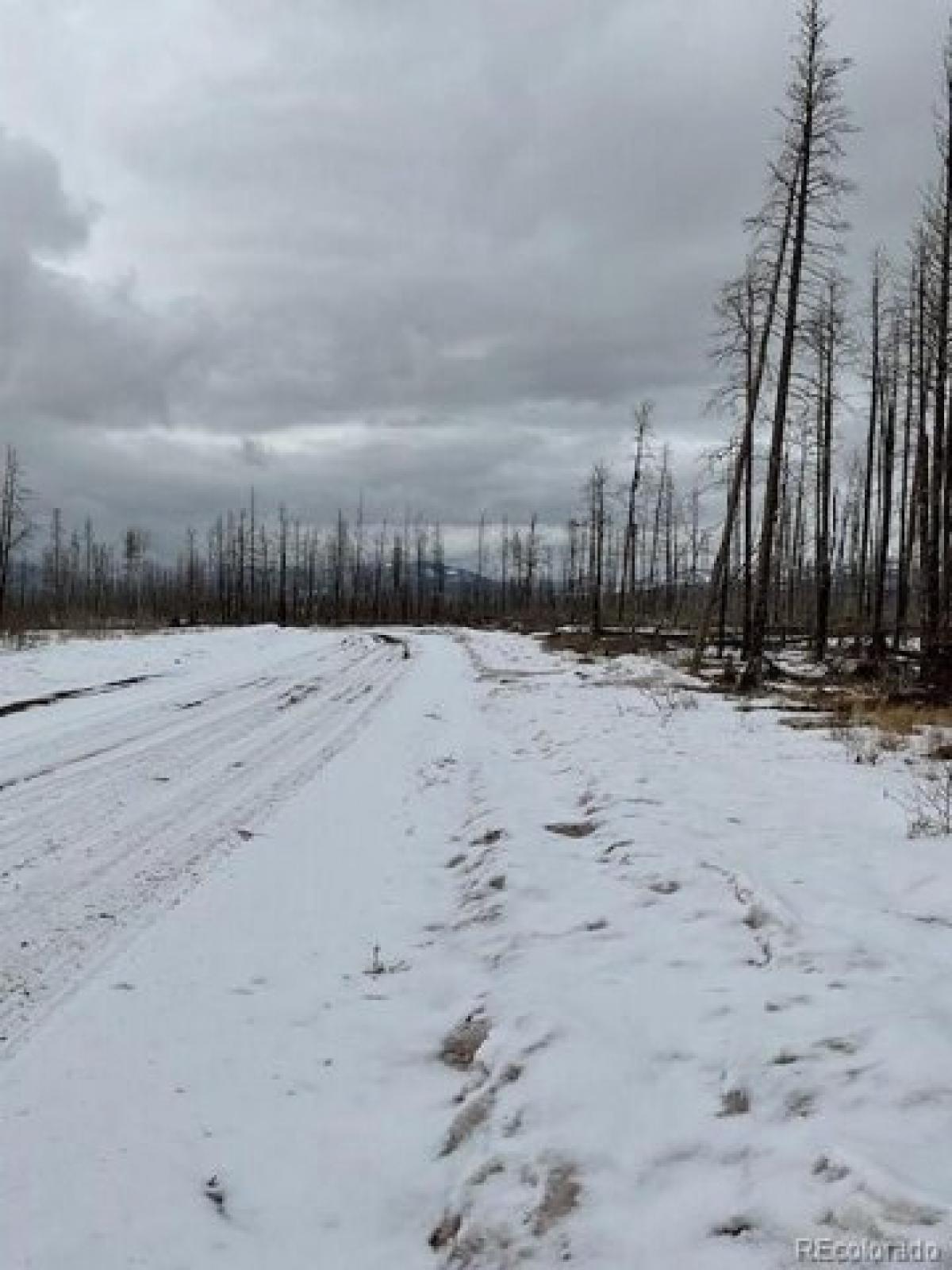 Picture of Residential Land For Sale in Fort Garland, Colorado, United States