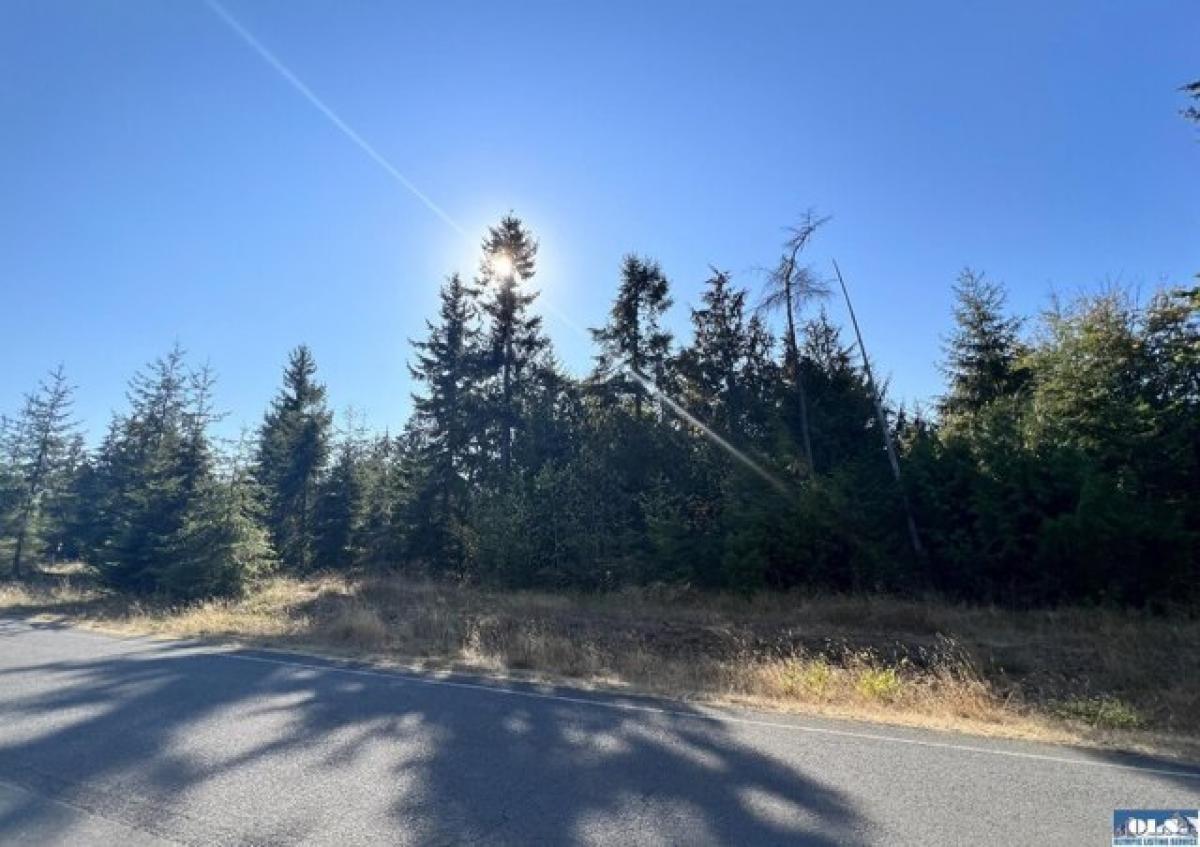 Picture of Residential Land For Sale in Port Angeles, Washington, United States