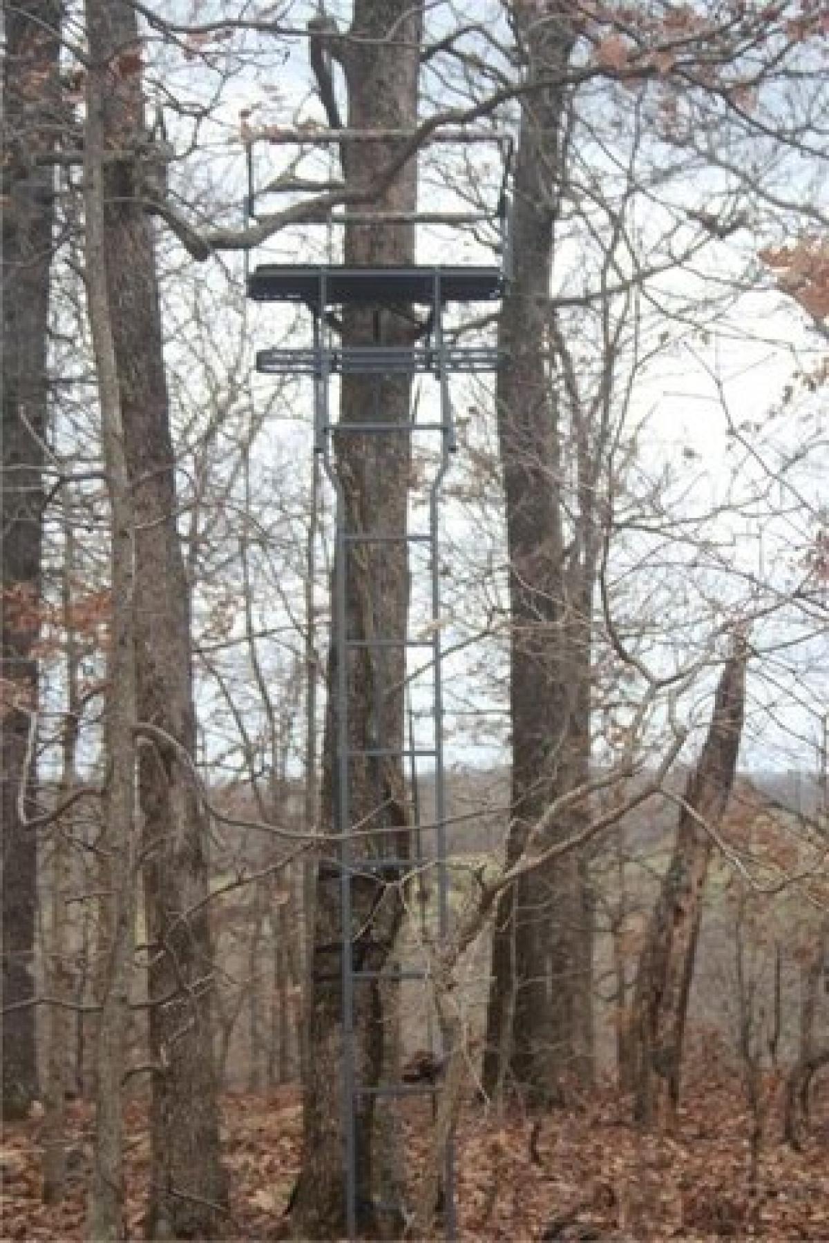 Picture of Home For Sale in Jay, Oklahoma, United States