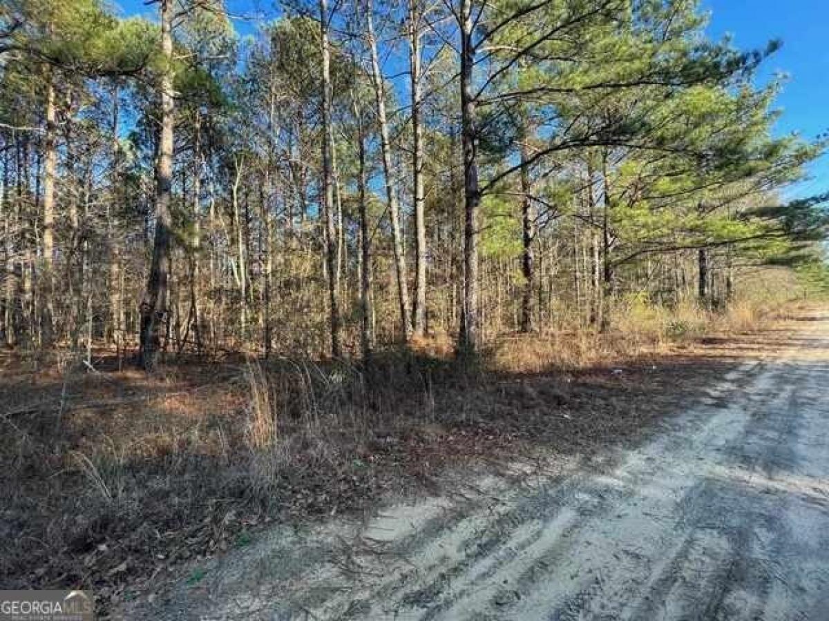 Picture of Residential Land For Sale in Sandersville, Georgia, United States