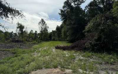 Residential Land For Sale in White Springs, Florida