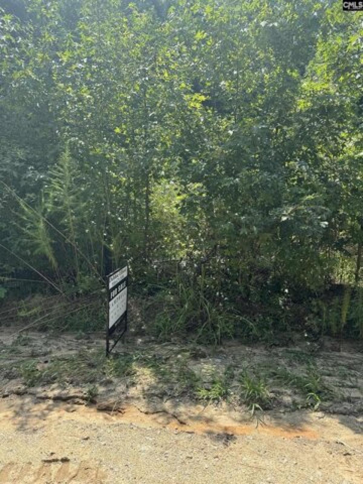Picture of Residential Land For Rent in Camden, South Carolina, United States