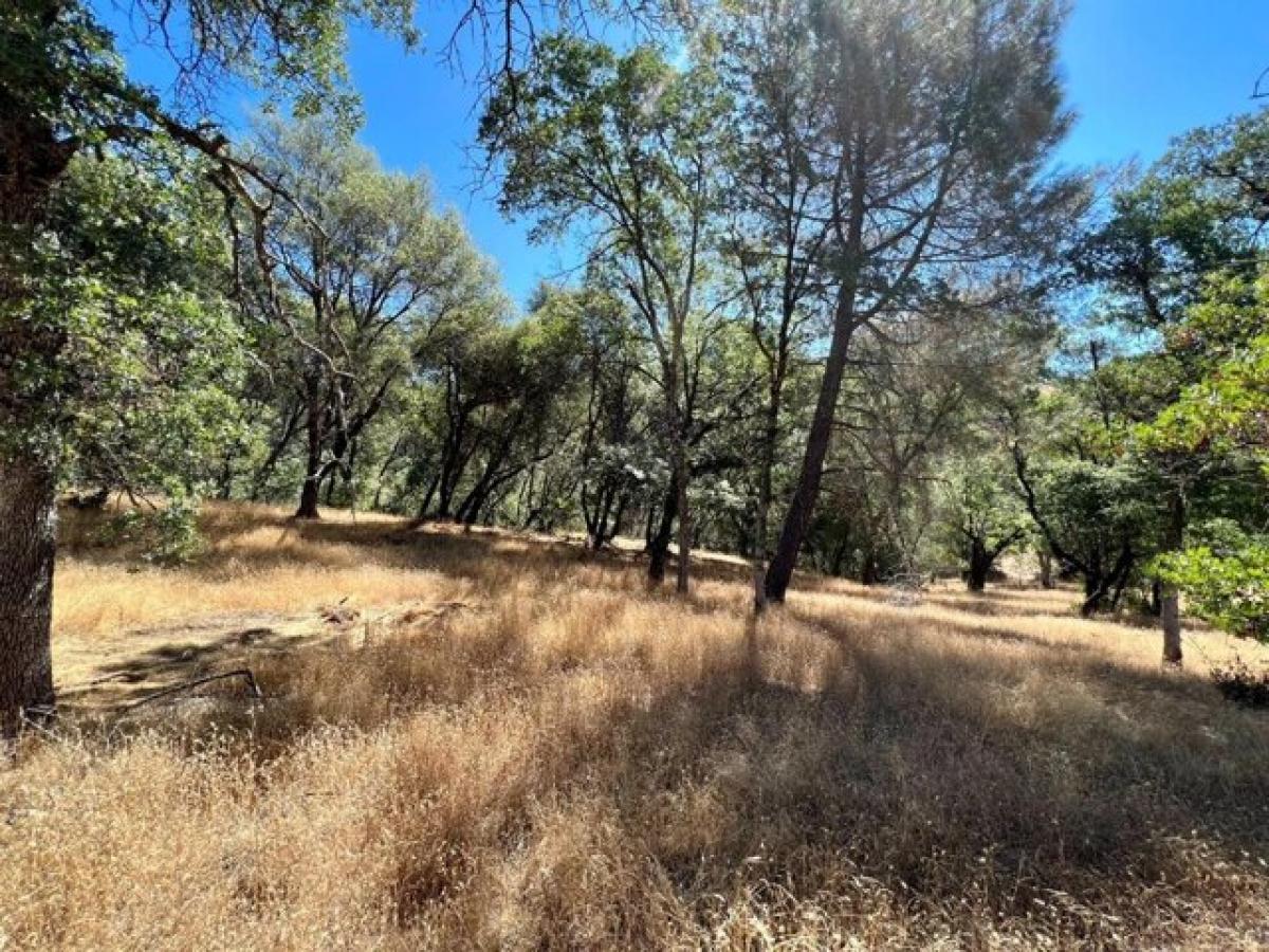 Picture of Residential Land For Sale in Somerset, California, United States