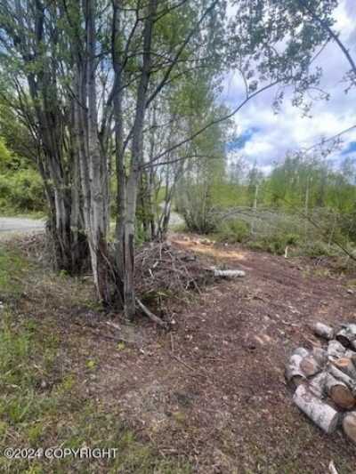 Residential Land For Sale in Big Lake, Alaska