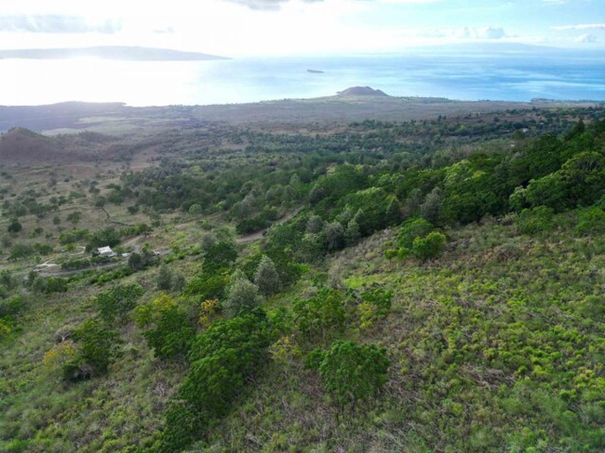 Picture of Residential Land For Sale in Kula, Hawaii, United States