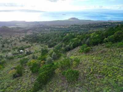 Residential Land For Sale in Kula, Hawaii