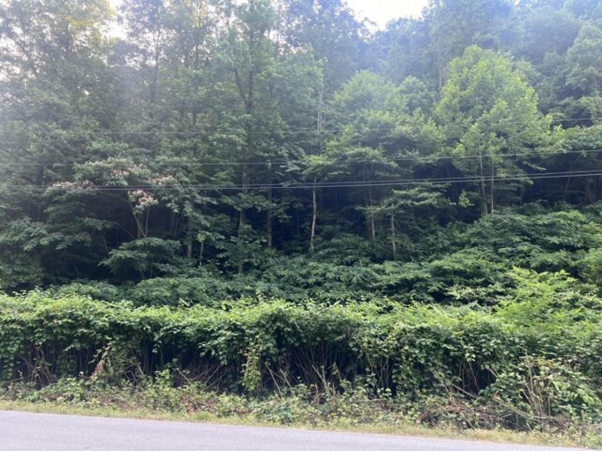Picture of Residential Land For Rent in Huddy, Kentucky, United States