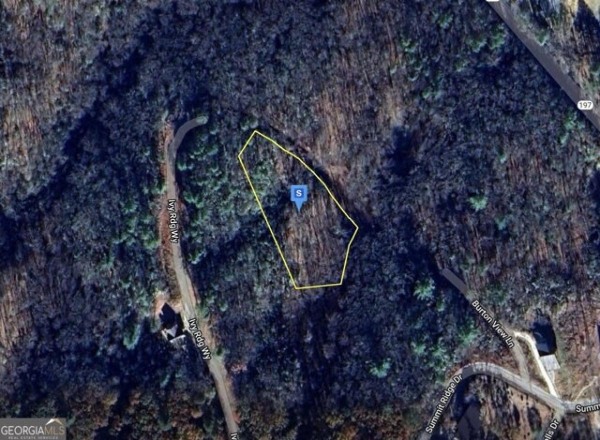 Picture of Residential Land For Sale in Clarkesville, Georgia, United States