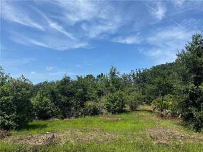 Residential Land For Sale in Arcadia, Florida