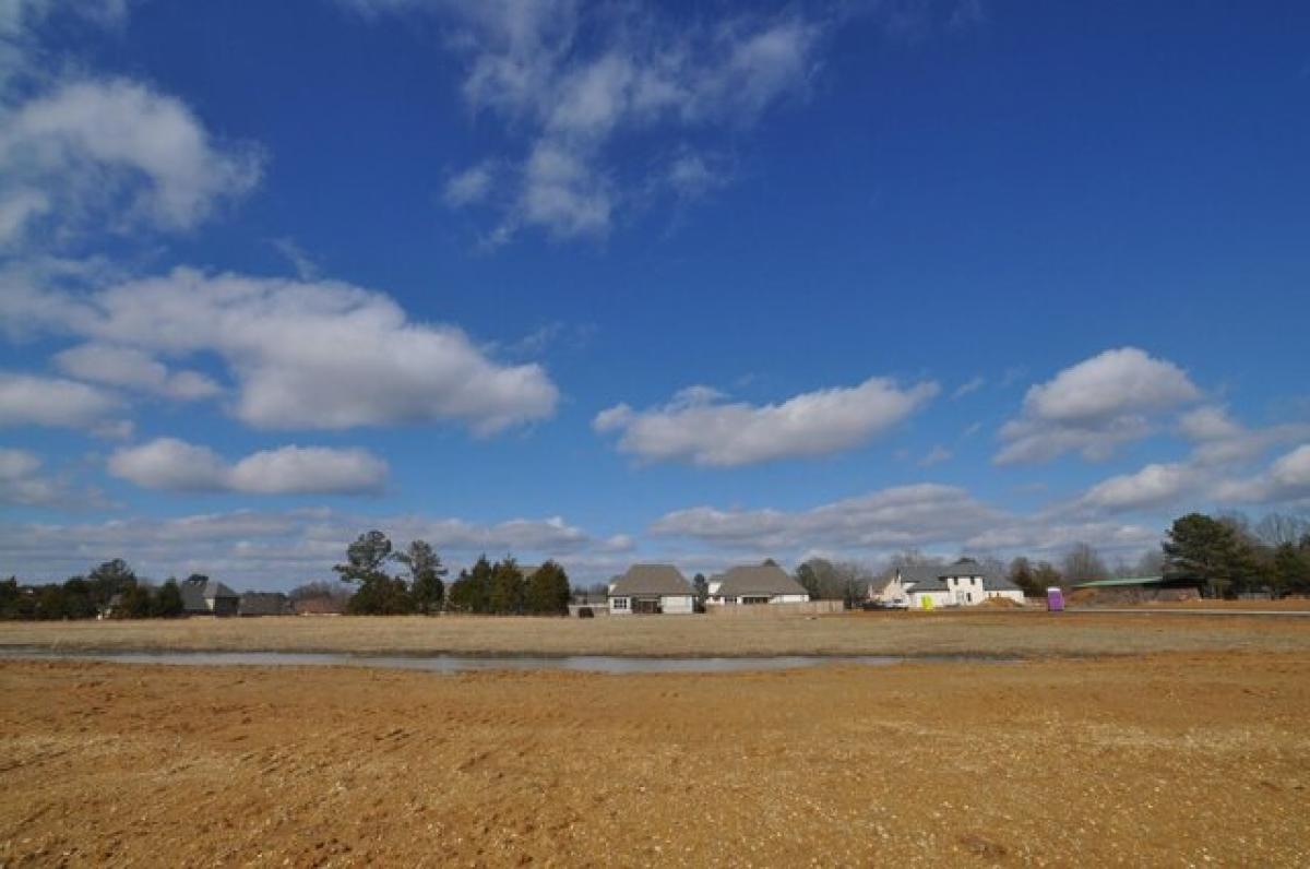 Picture of Residential Land For Sale in Tupelo, Mississippi, United States