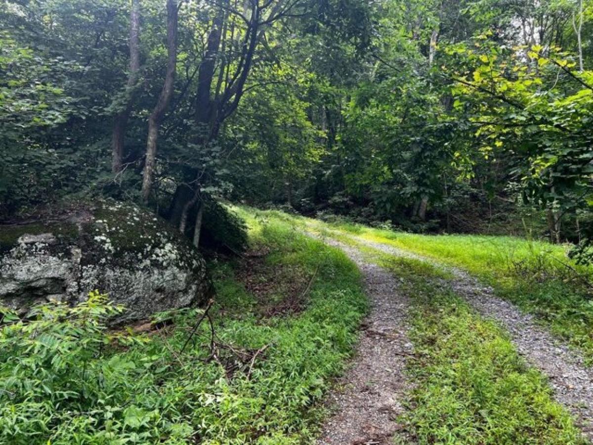 Picture of Residential Land For Sale in Thaxton, Virginia, United States