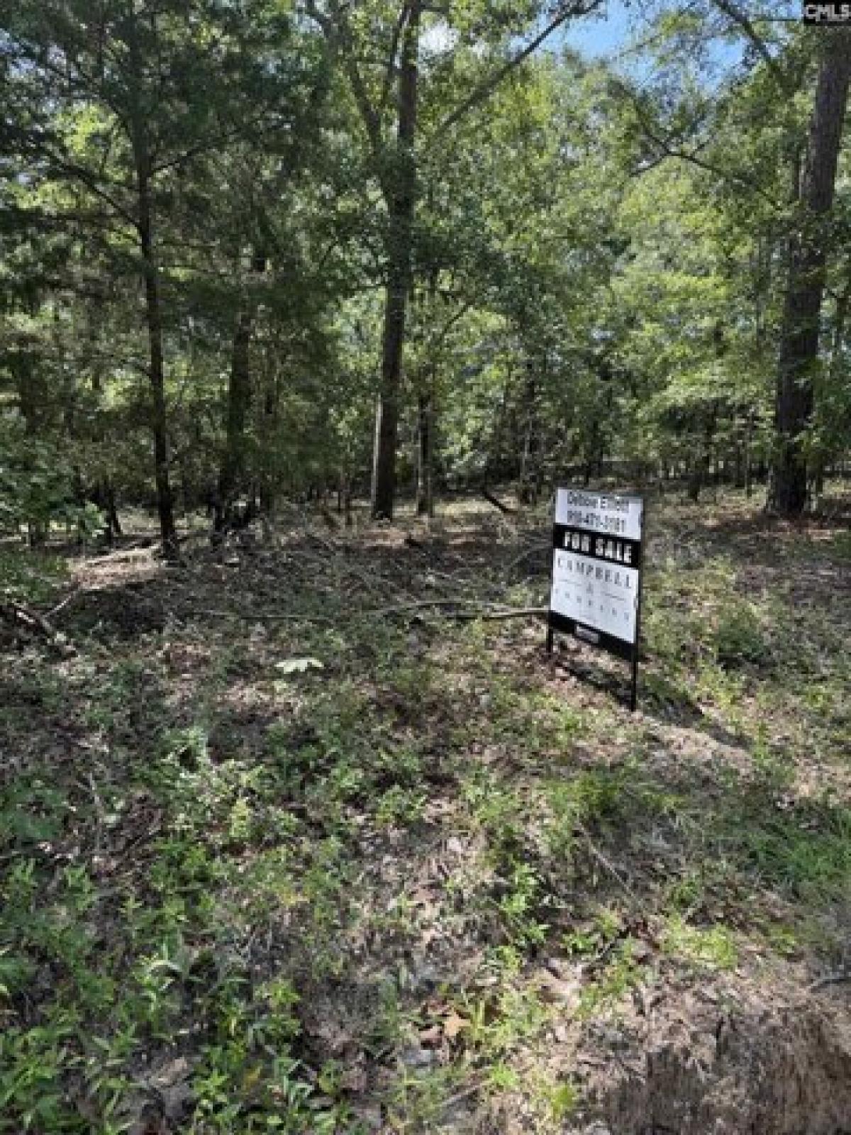 Picture of Residential Land For Rent in Camden, South Carolina, United States