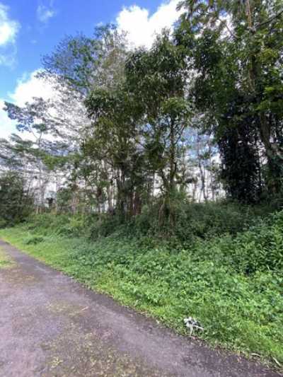 Residential Land For Rent in Pahoa, Hawaii