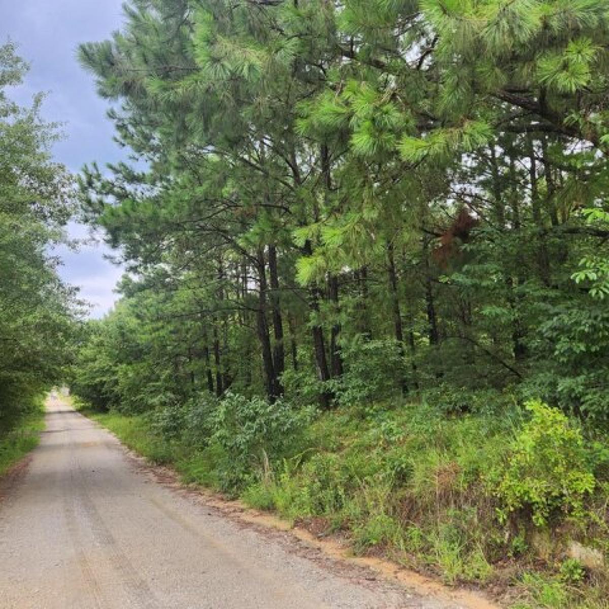Picture of Residential Land For Sale in Wadley, Georgia, United States