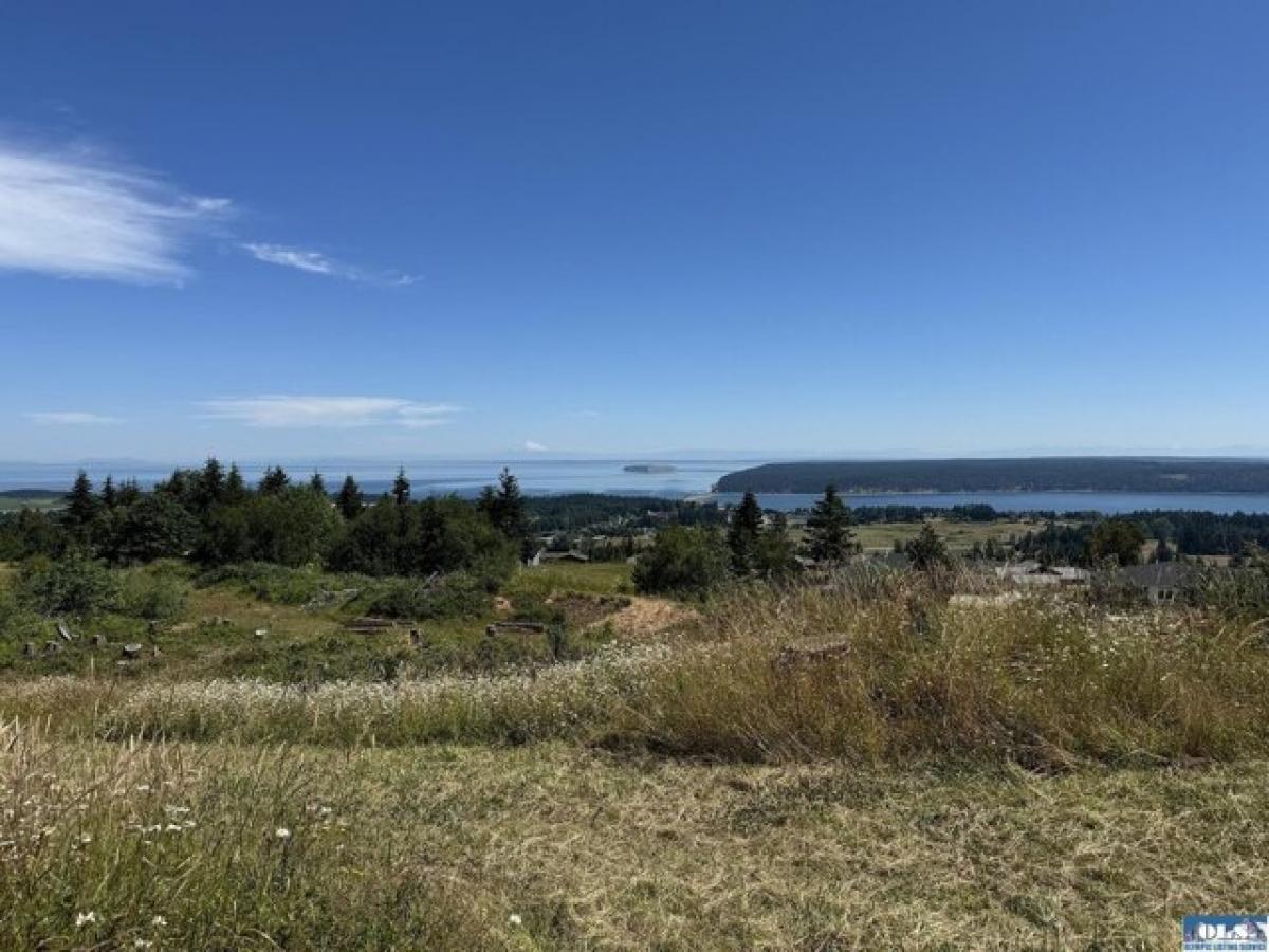 Picture of Residential Land For Sale in Sequim, Washington, United States