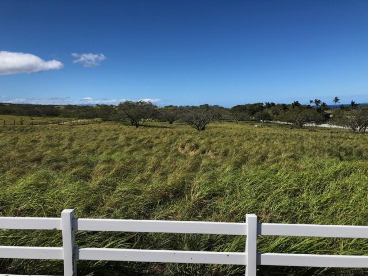 Picture of Residential Land For Sale in Hawi, Hawaii, United States