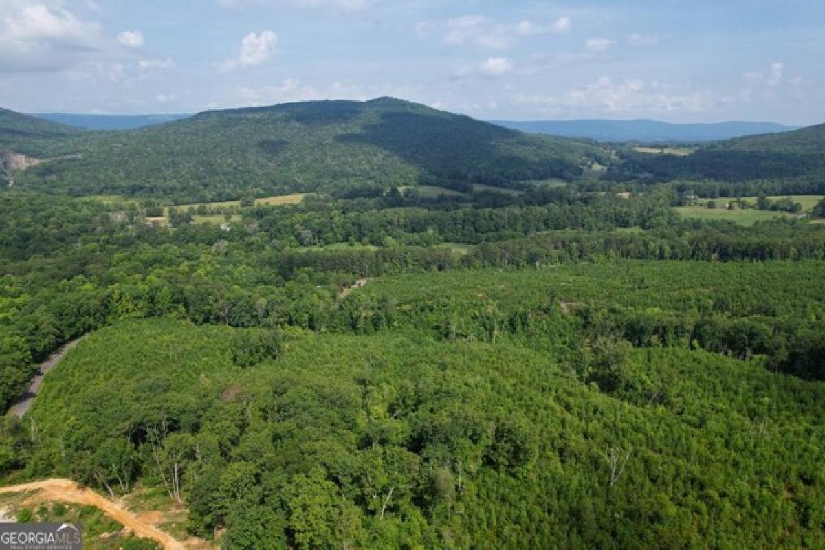 Picture of Residential Land For Sale in Lafayette, Georgia, United States