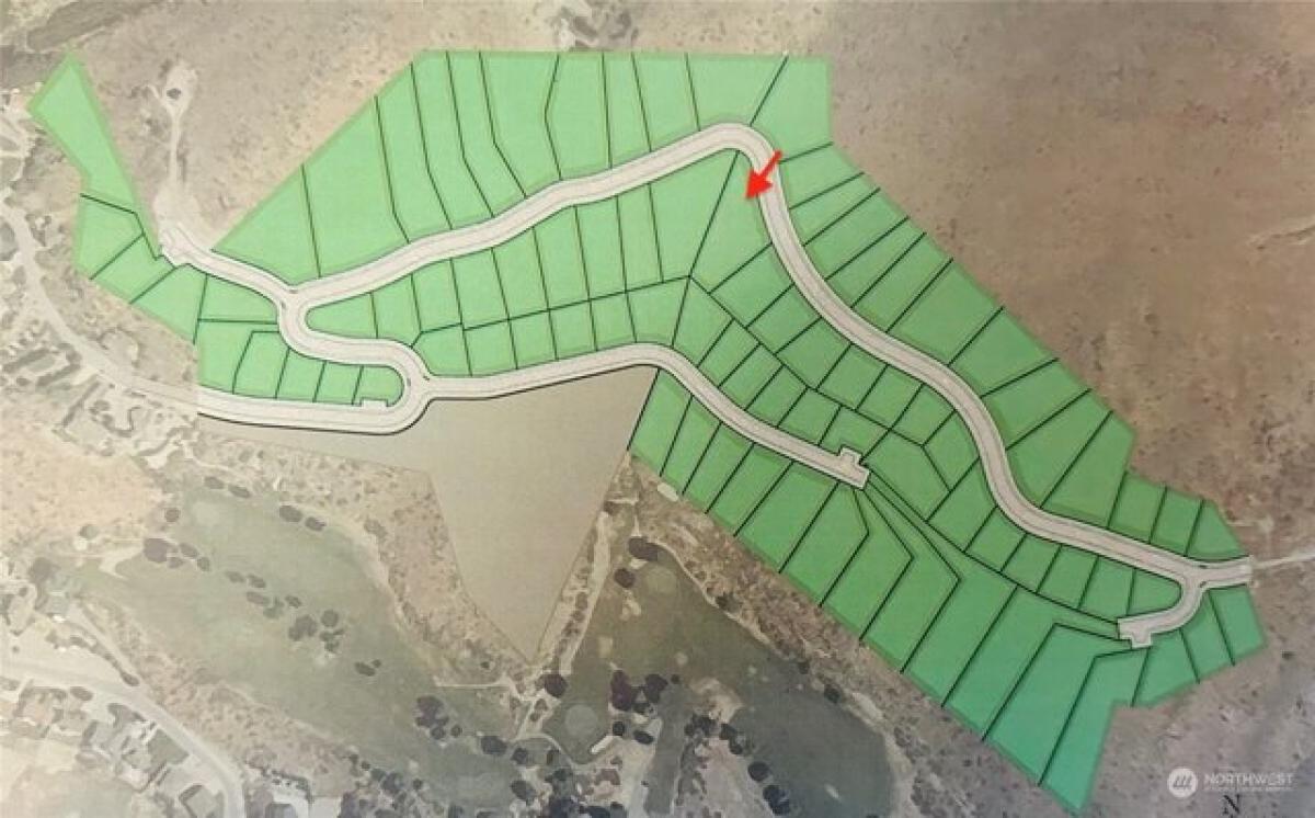 Picture of Residential Land For Sale in Chelan, Washington, United States