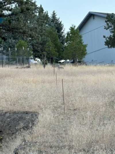 Residential Land For Rent in Weed, California