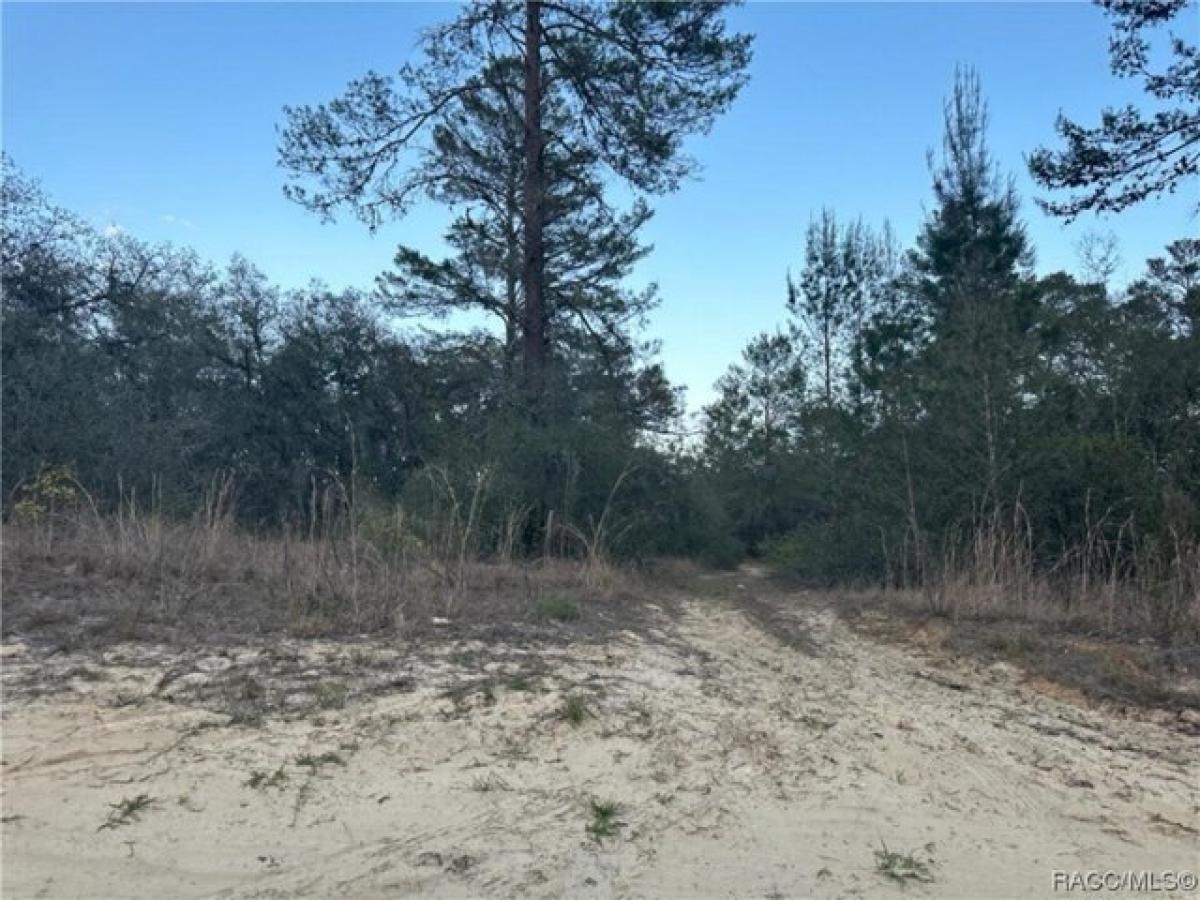 Picture of Residential Land For Rent in Inverness, Florida, United States