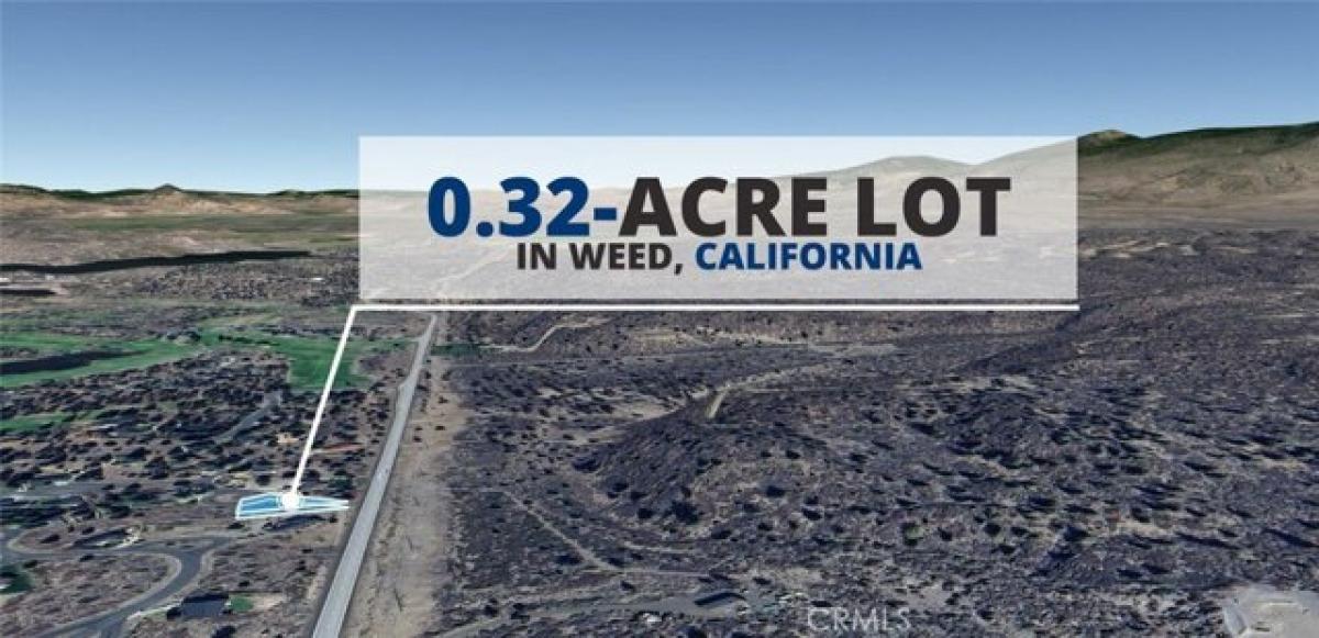 Picture of Residential Land For Rent in Weed, California, United States