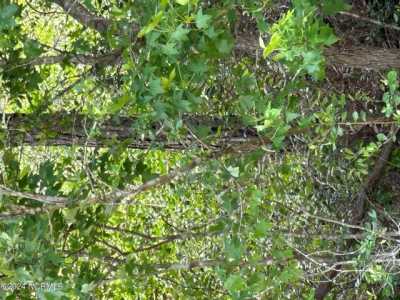 Residential Land For Sale in Southport, North Carolina