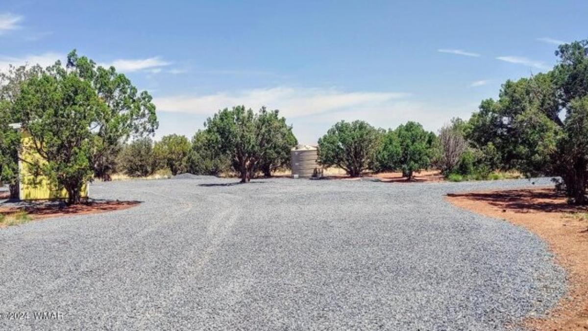 Picture of Residential Land For Sale in Snowflake, Arizona, United States