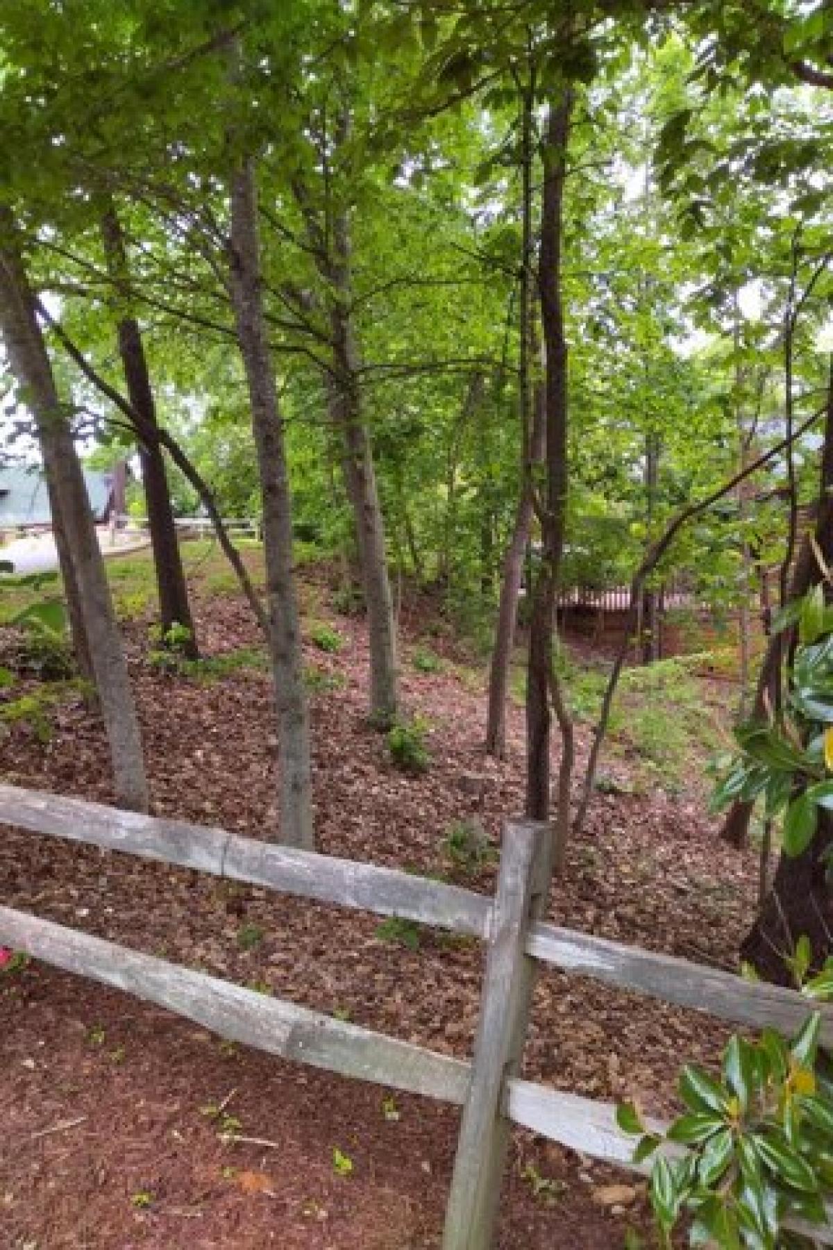 Picture of Residential Land For Sale in Sevierville, Tennessee, United States