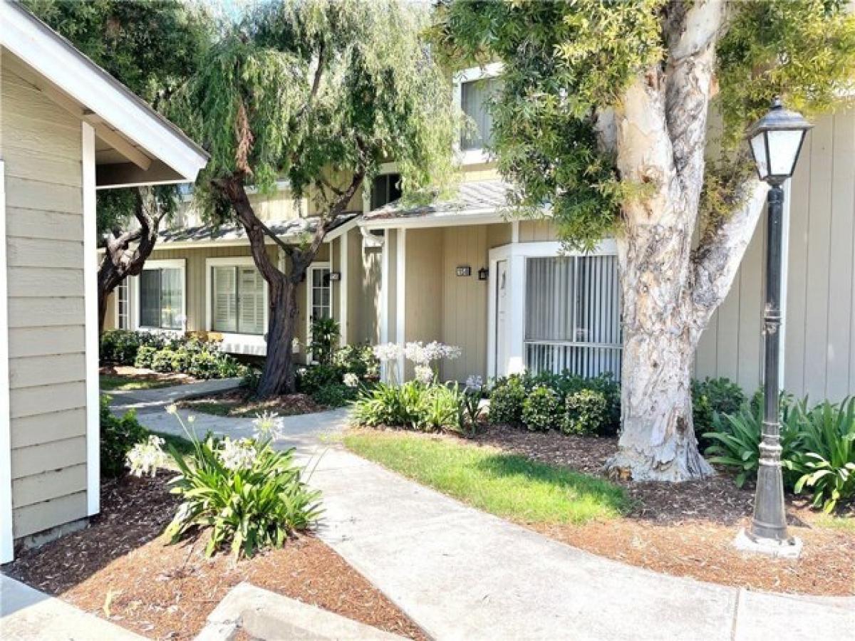 Picture of Home For Rent in Irvine, California, United States