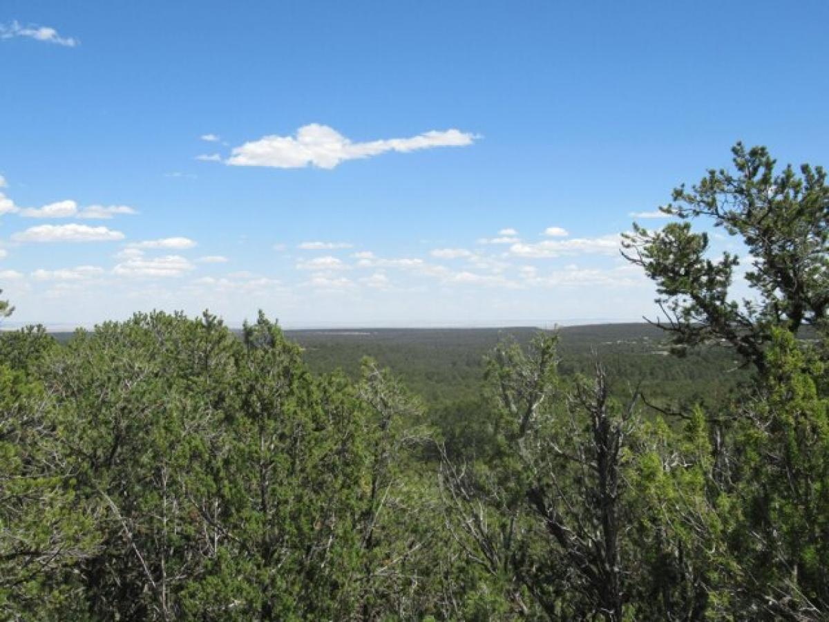 Picture of Residential Land For Sale in Tijeras, New Mexico, United States