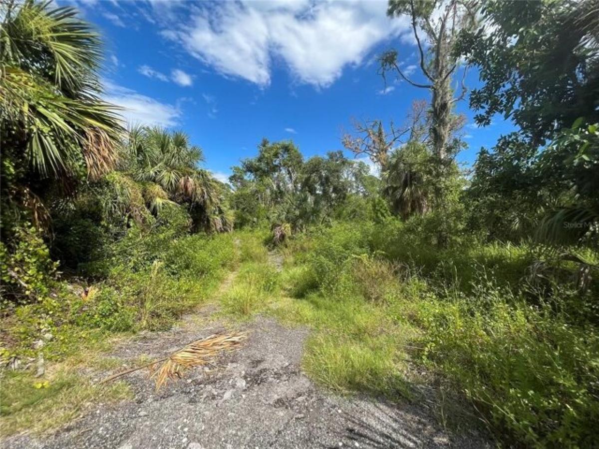 Picture of Residential Land For Sale in Port Charlotte, Florida, United States