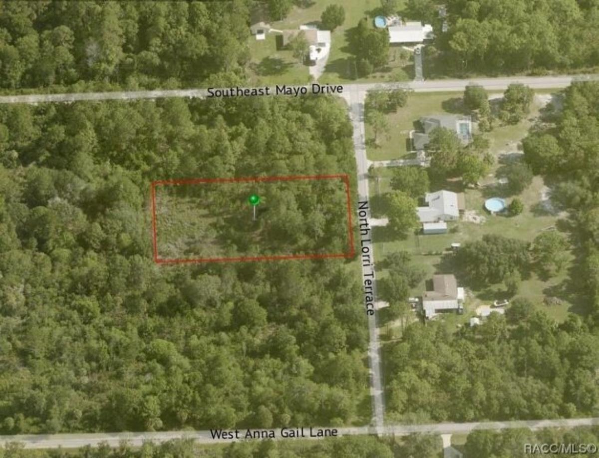 Picture of Residential Land For Sale in Crystal River, Florida, United States
